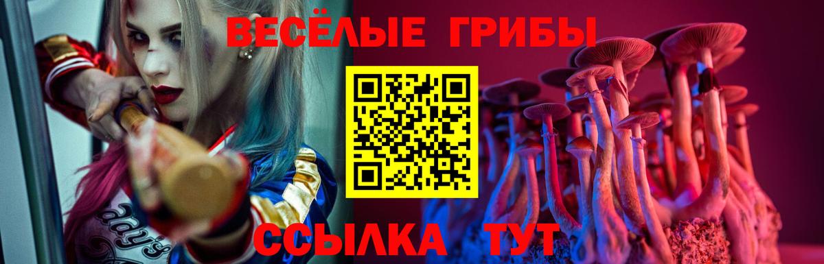 Псилоцибиновые грибы GOLDEN TEACHER Гай